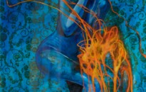 meduse